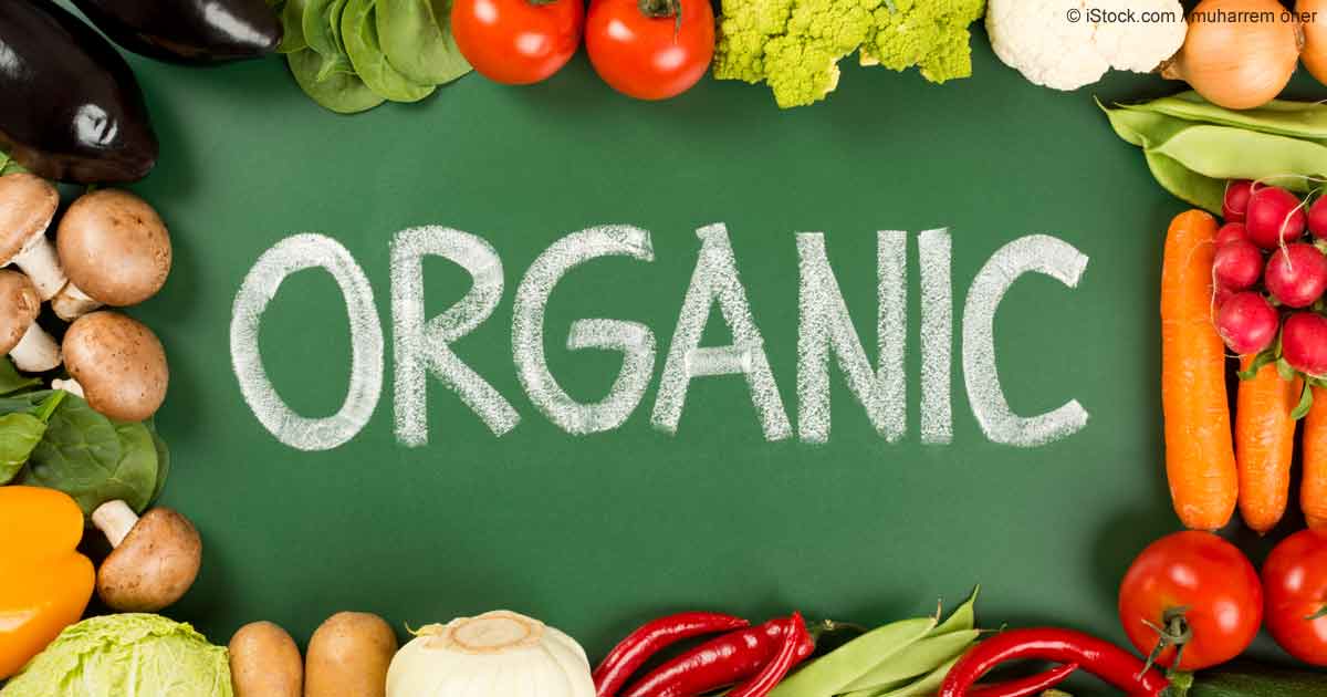Organic Snack