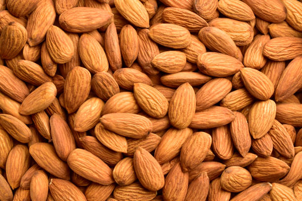 Almond Regular