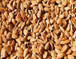 Kashmiri Mamra (Almond)