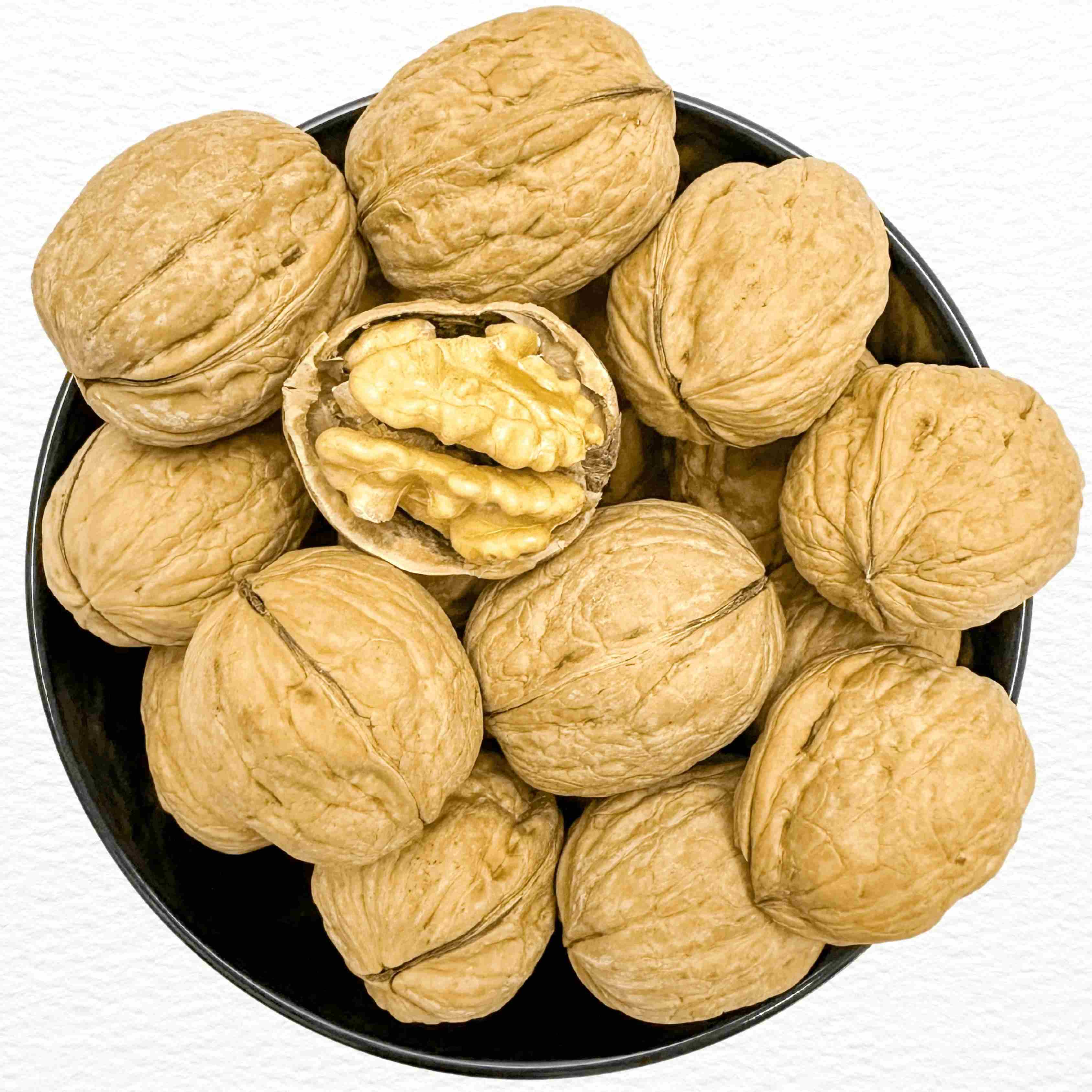 walnut shell